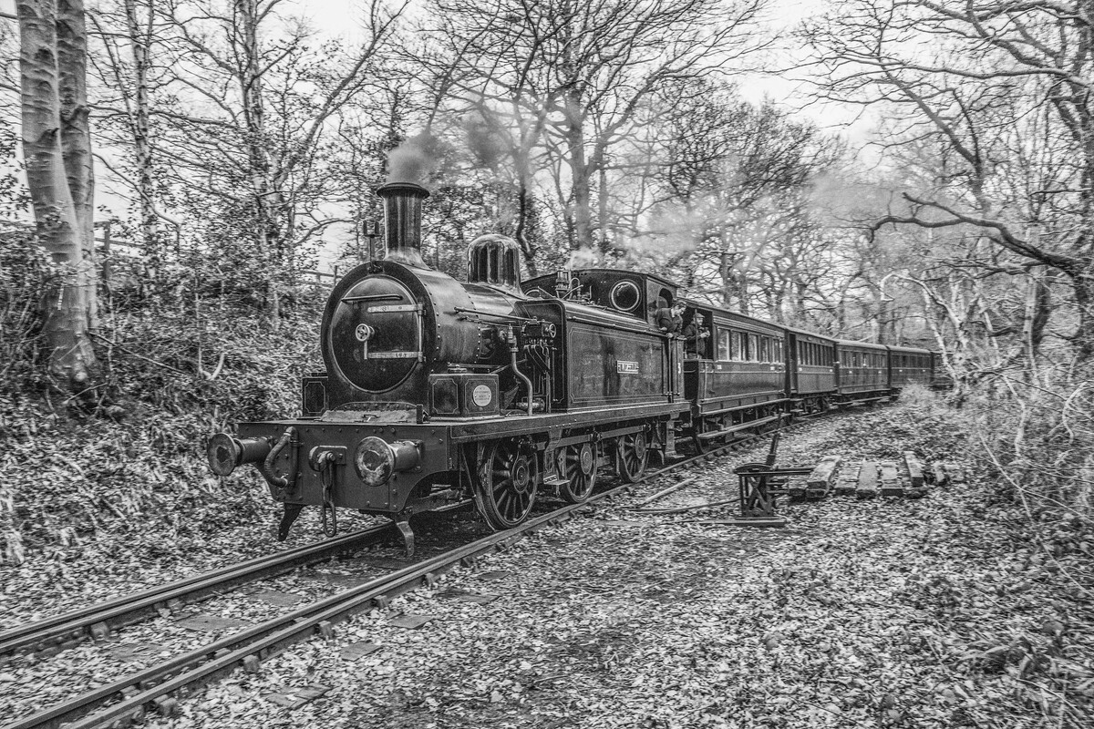 HC - Twizzel in Steam - Gerry Stephens